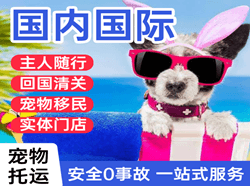 滋润空运公司国际宠物托运 【国
